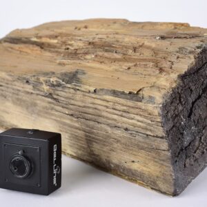 מצלמה נסתרת בבול עץ בשידור ישיר 4G