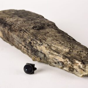 מצלמה נסתרת בבול עץ בשידור ישיר WIFI