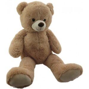 מכשיר הקלטה בדובי