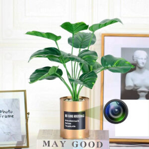 מצלמה נסתרת והאזנה אלחוטית בעציץ